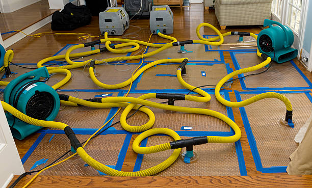 Professional Water Extraction technician working in Glenwood, NJ